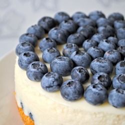 cheesecake de blueberry